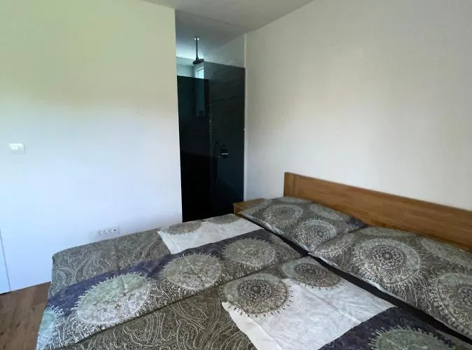 Apartment Schoene Gartenwohnung Mit Carport Und Terrasse!